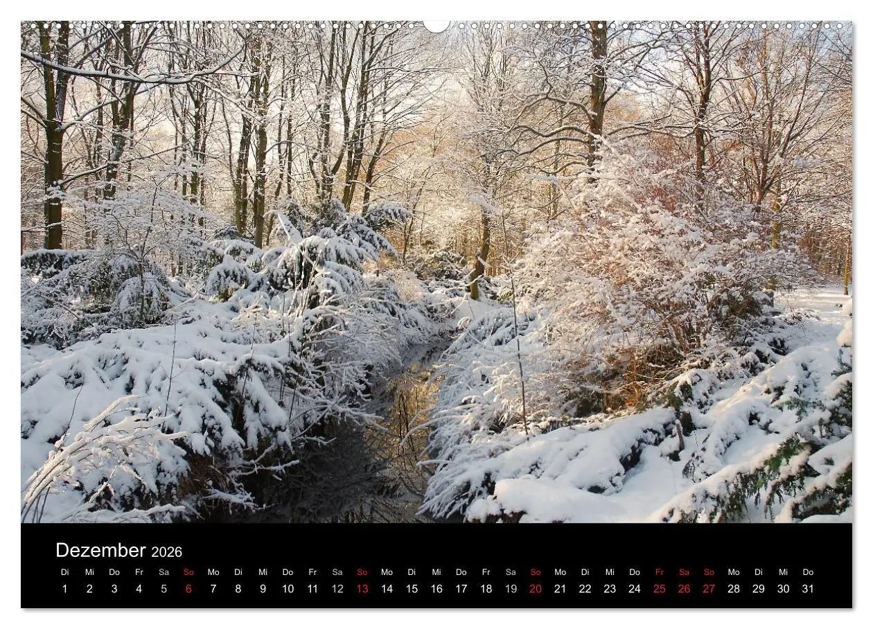 Bild: 9783516105452 | Die vier Jahreszeiten (Wandkalender 2026 DIN A2 quer), CALVENDO...