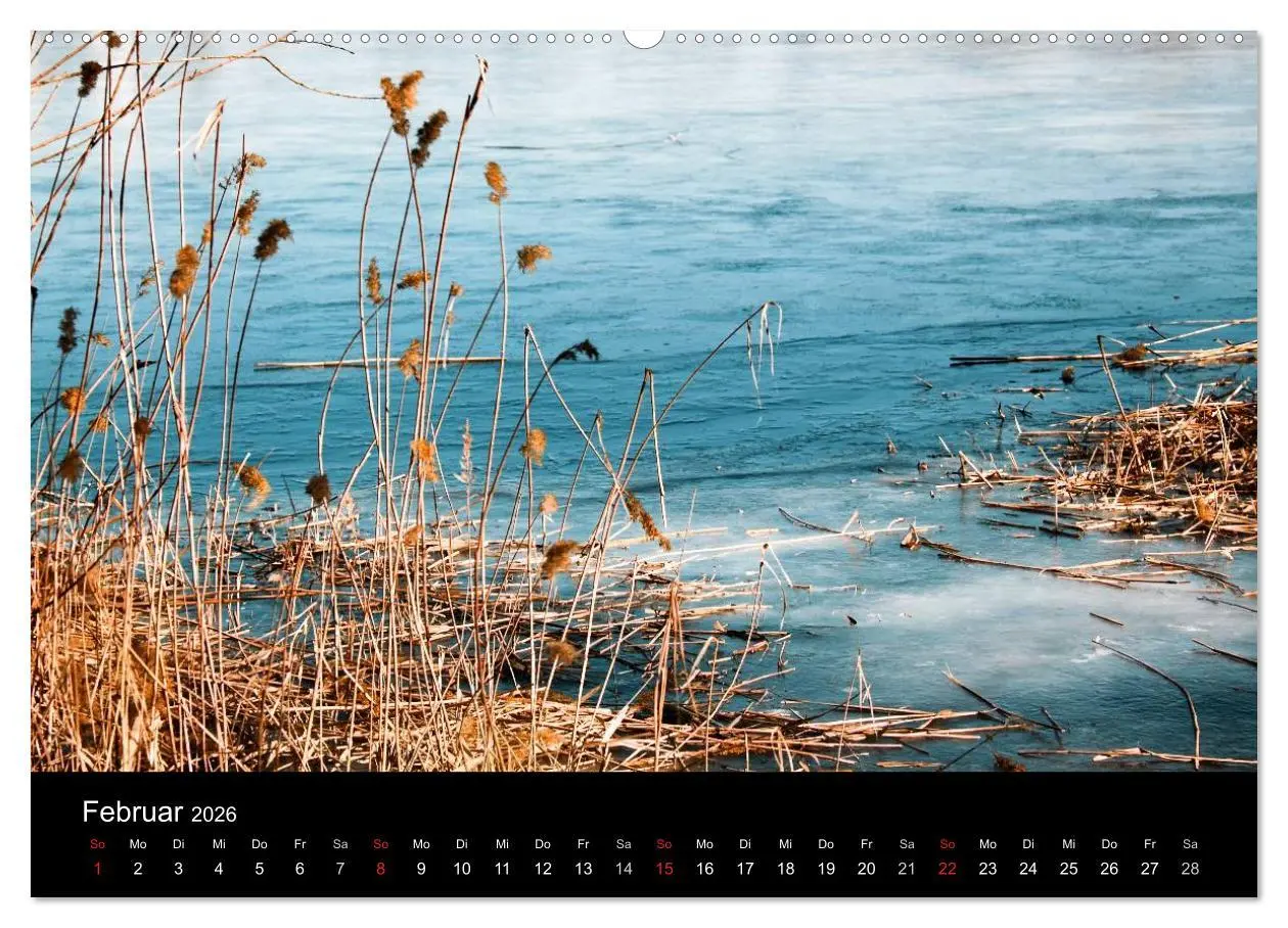 Bild: 9783516105452 | Die vier Jahreszeiten (Wandkalender 2026 DIN A2 quer), CALVENDO...