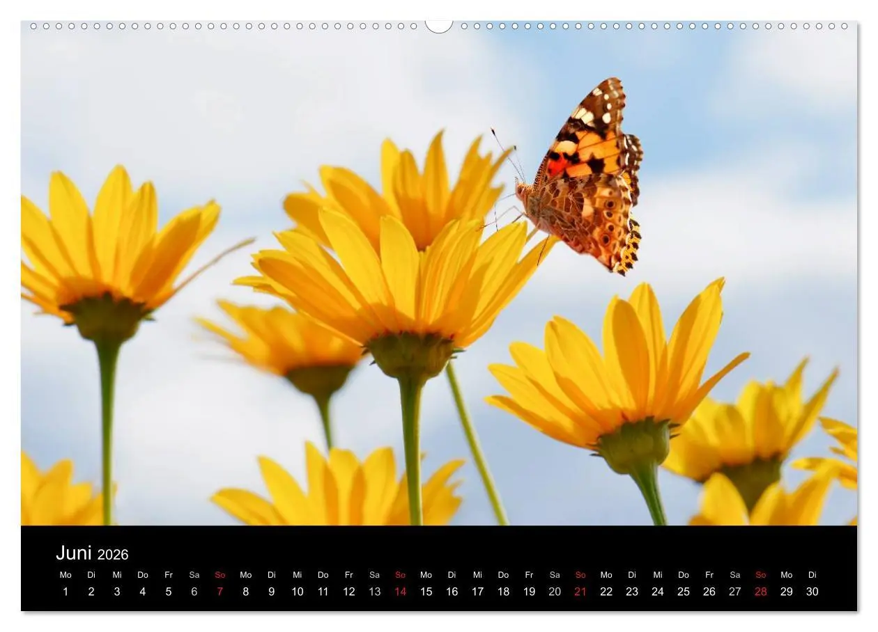 Bild: 9783516105452 | Die vier Jahreszeiten (Wandkalender 2026 DIN A2 quer), CALVENDO...