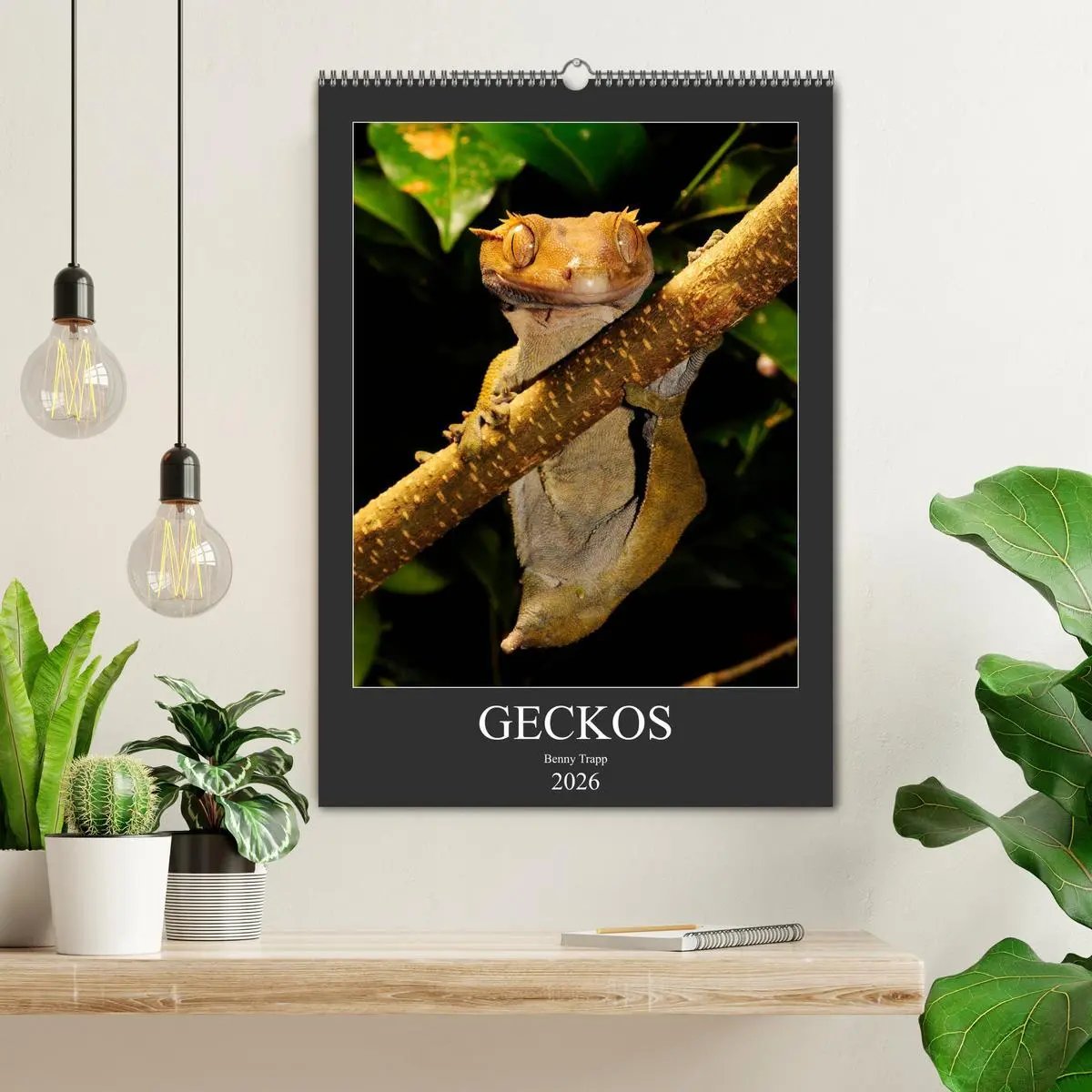 Bild: 9783516415452 | GECKOS (Wandkalender 2026 DIN A2 hoch), CALVENDO Monatskalender | 2026