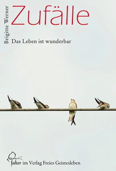 Cover: 9783772525452 | Zufälle | Das Leben ist wunderbar | Brigitte Werner | Taschenbuch