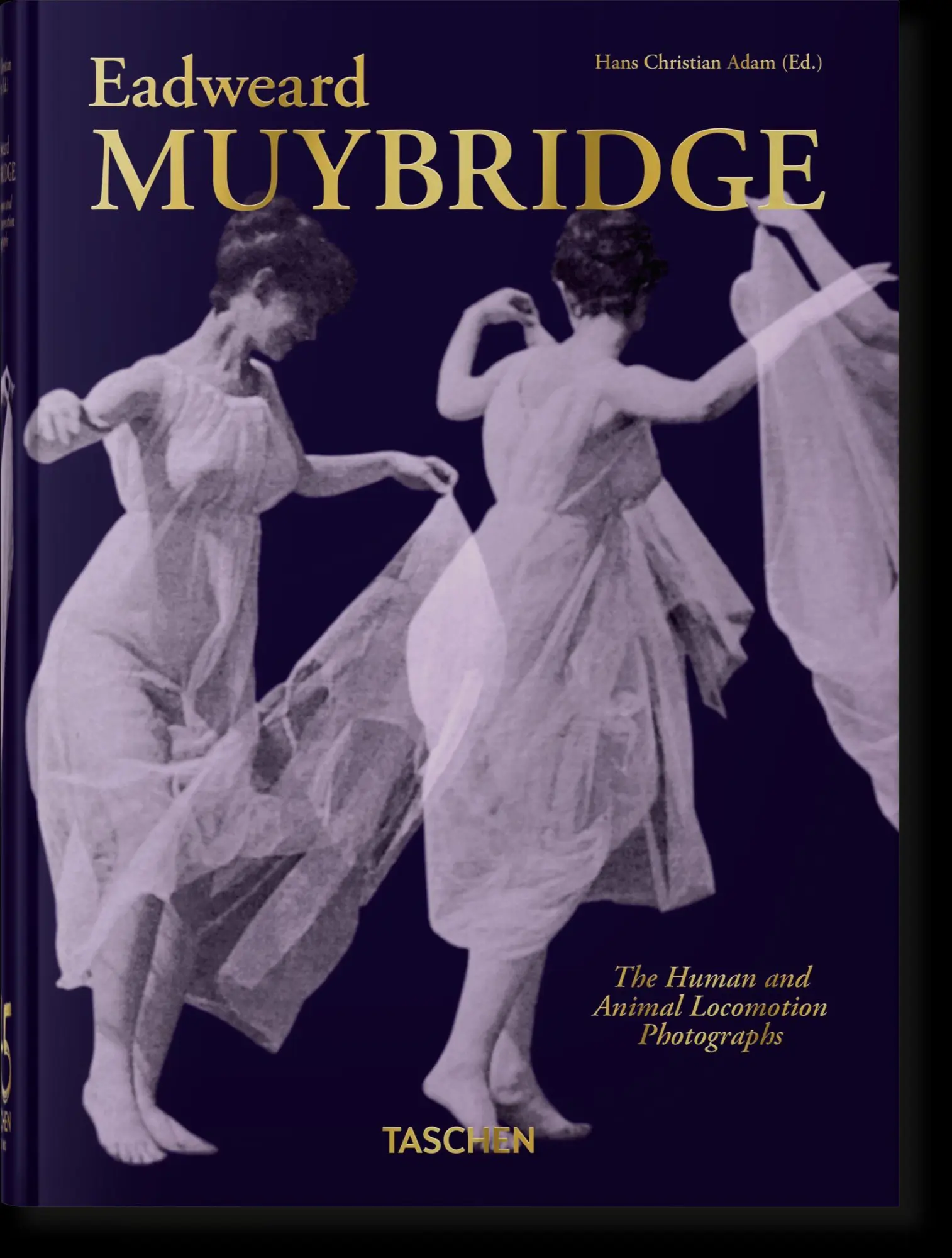 Muybridge