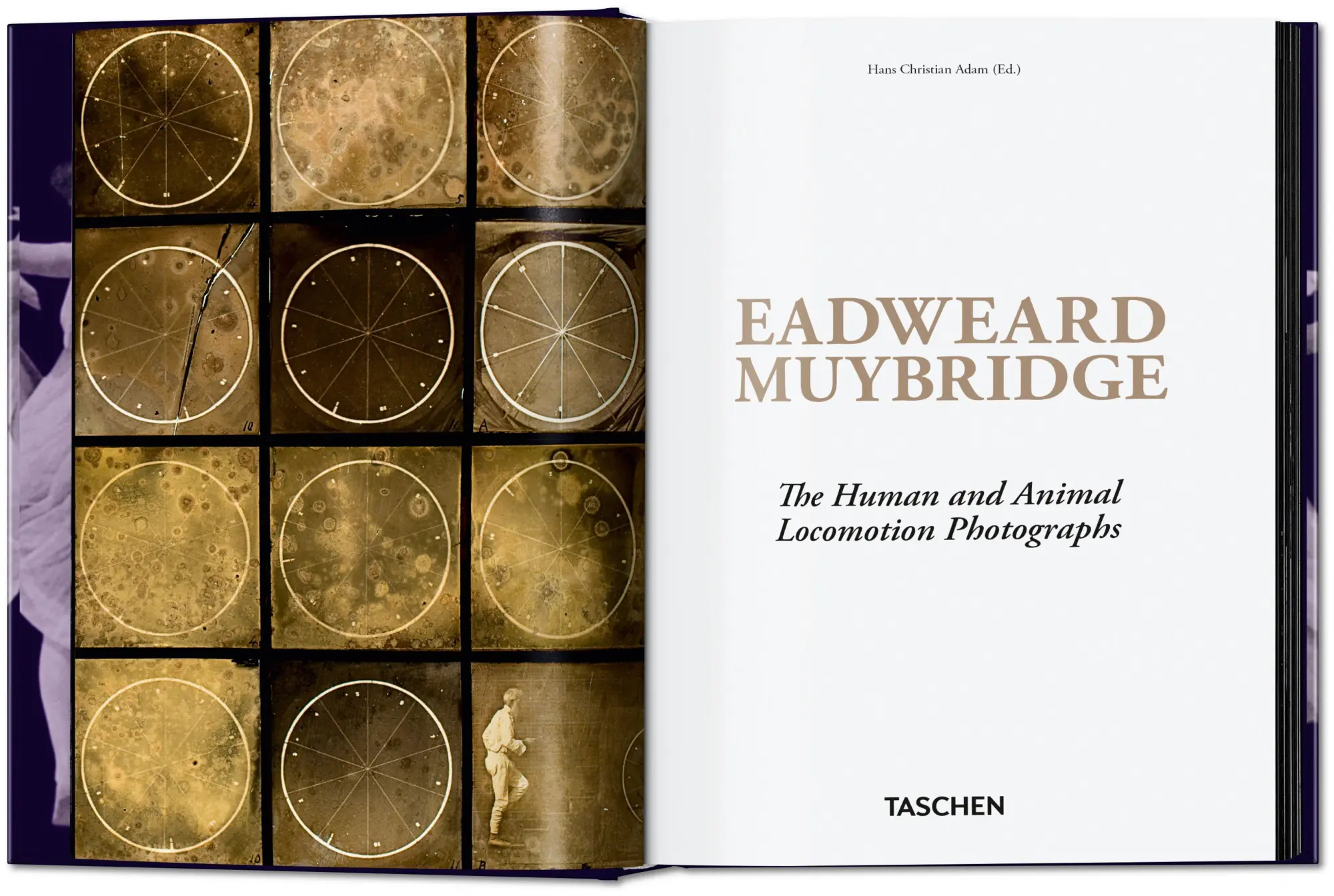 Bild: 9783836595452 | Muybridge | The Human and Animal Locomotion Photographs. 45th Ed.