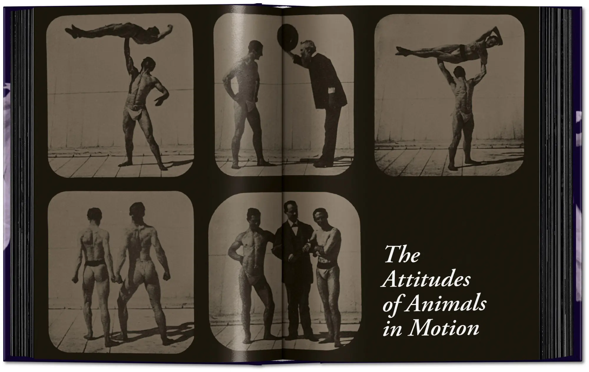 Bild: 9783836595452 | Muybridge | The Human and Animal Locomotion Photographs. 45th Ed.