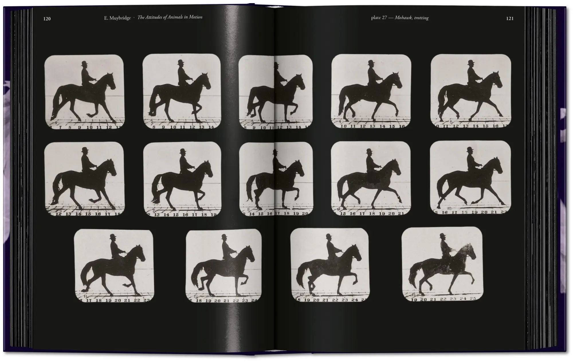 Bild: 9783836595452 | Muybridge | The Human and Animal Locomotion Photographs. 45th Ed.