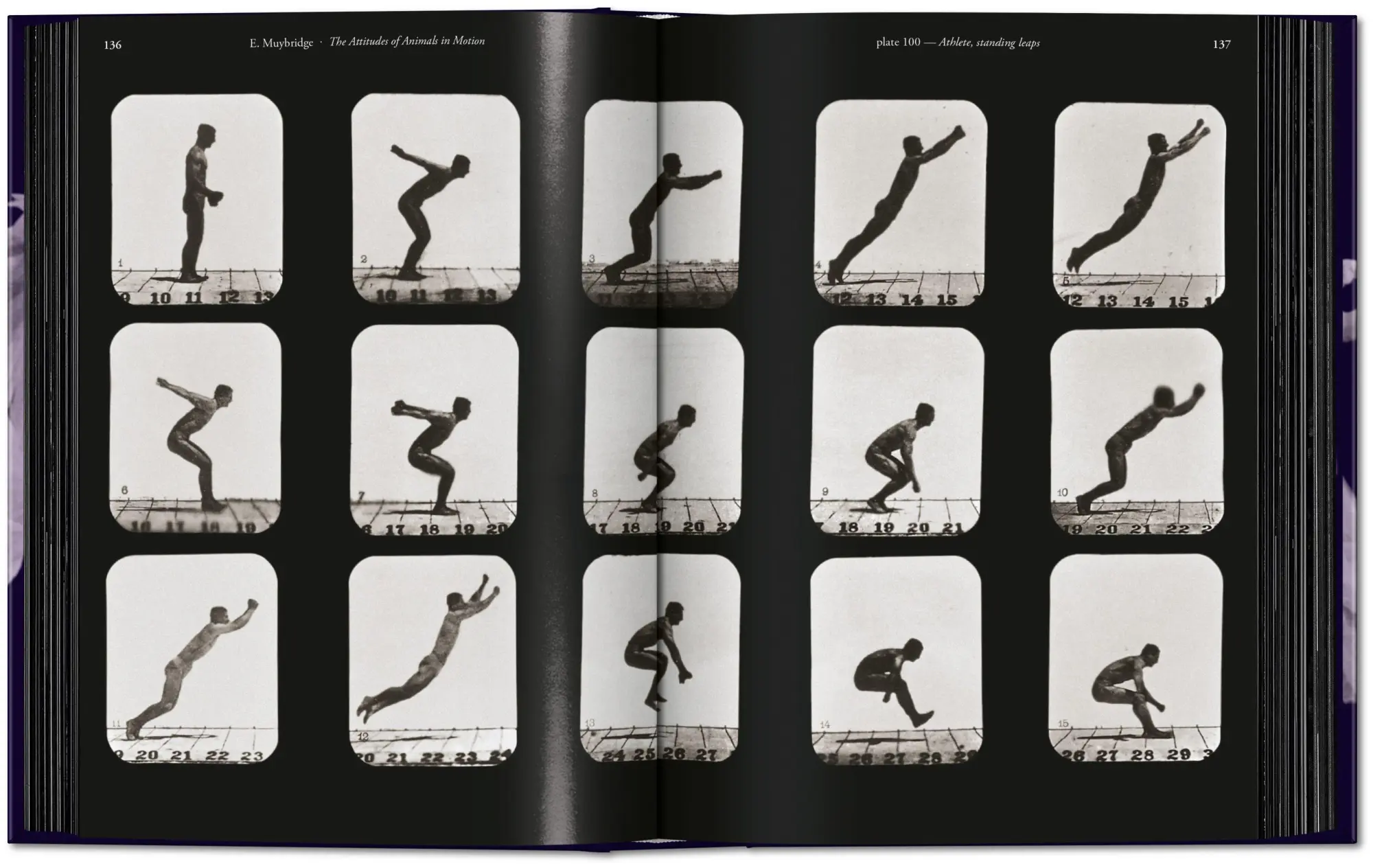 Bild: 9783836595452 | Muybridge | The Human and Animal Locomotion Photographs. 45th Ed.
