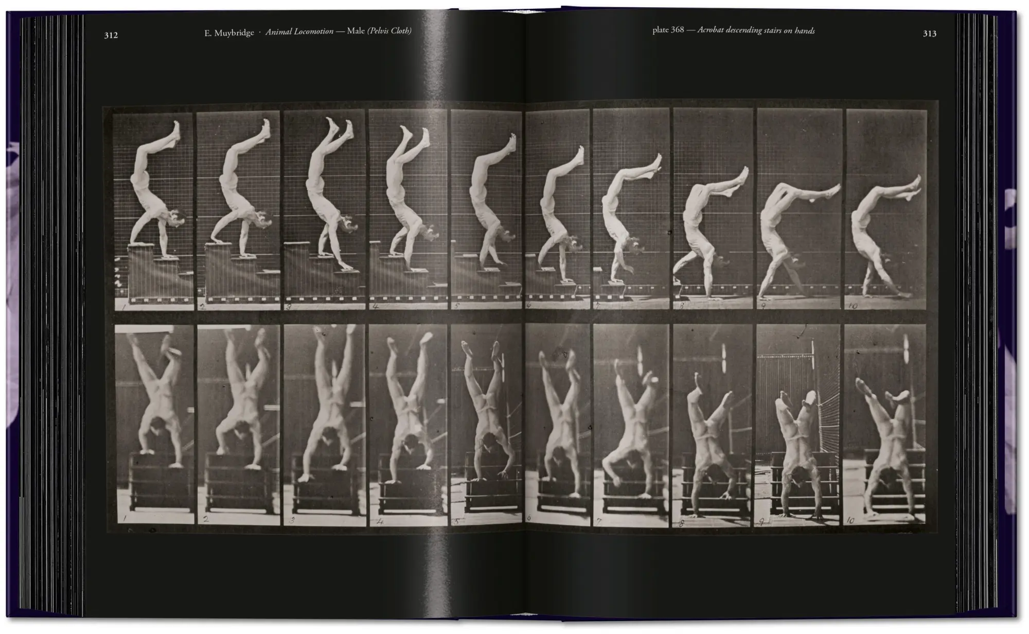 Bild: 9783836595452 | Muybridge | The Human and Animal Locomotion Photographs. 45th Ed.