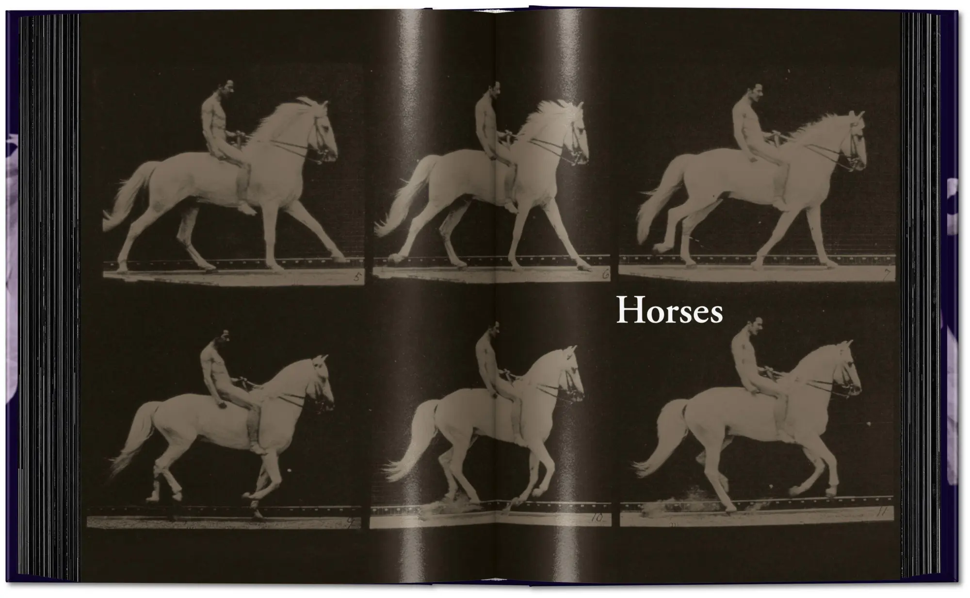 Bild: 9783836595452 | Muybridge | The Human and Animal Locomotion Photographs. 45th Ed.