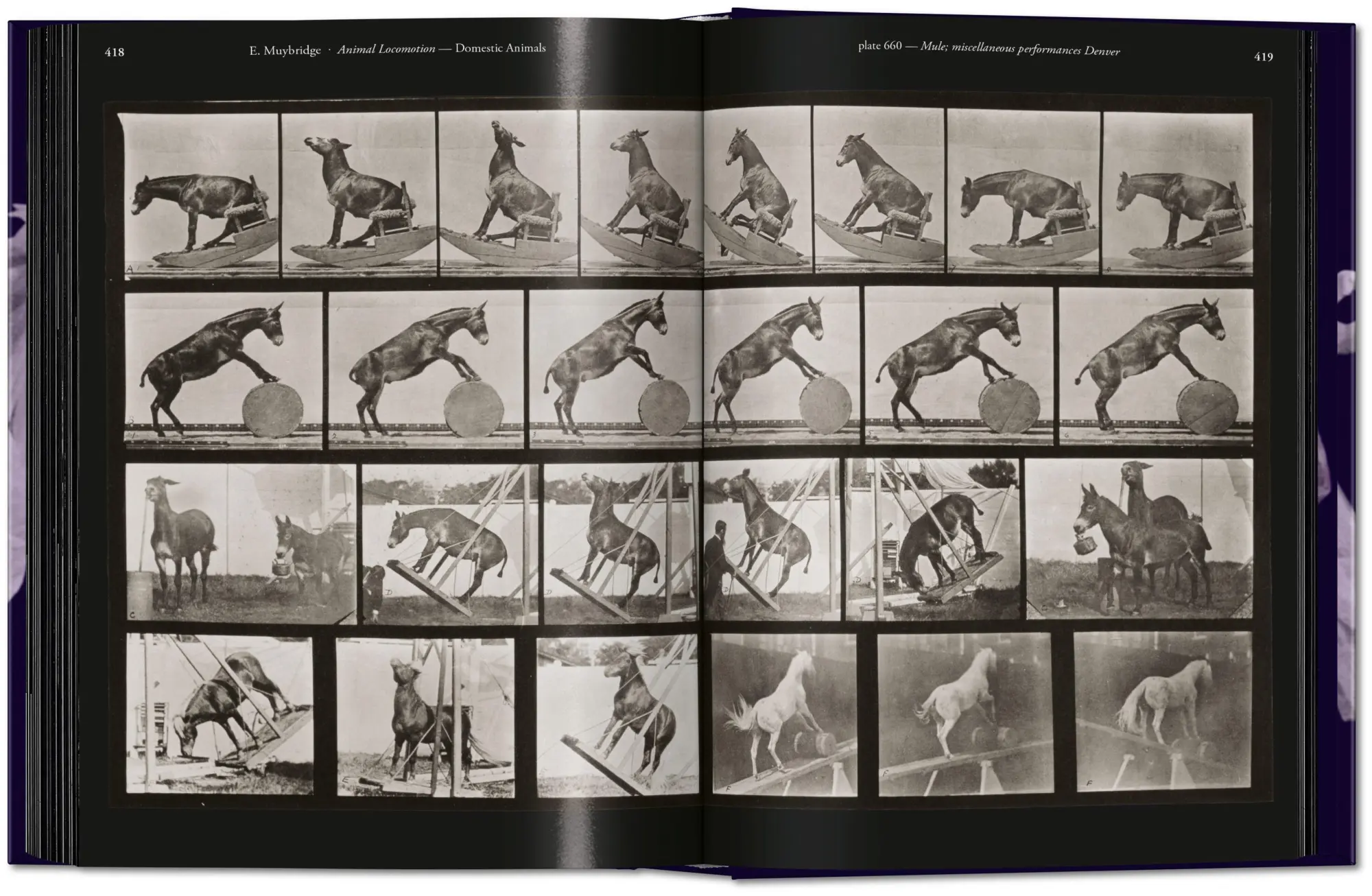 Bild: 9783836595452 | Muybridge | The Human and Animal Locomotion Photographs. 45th Ed.