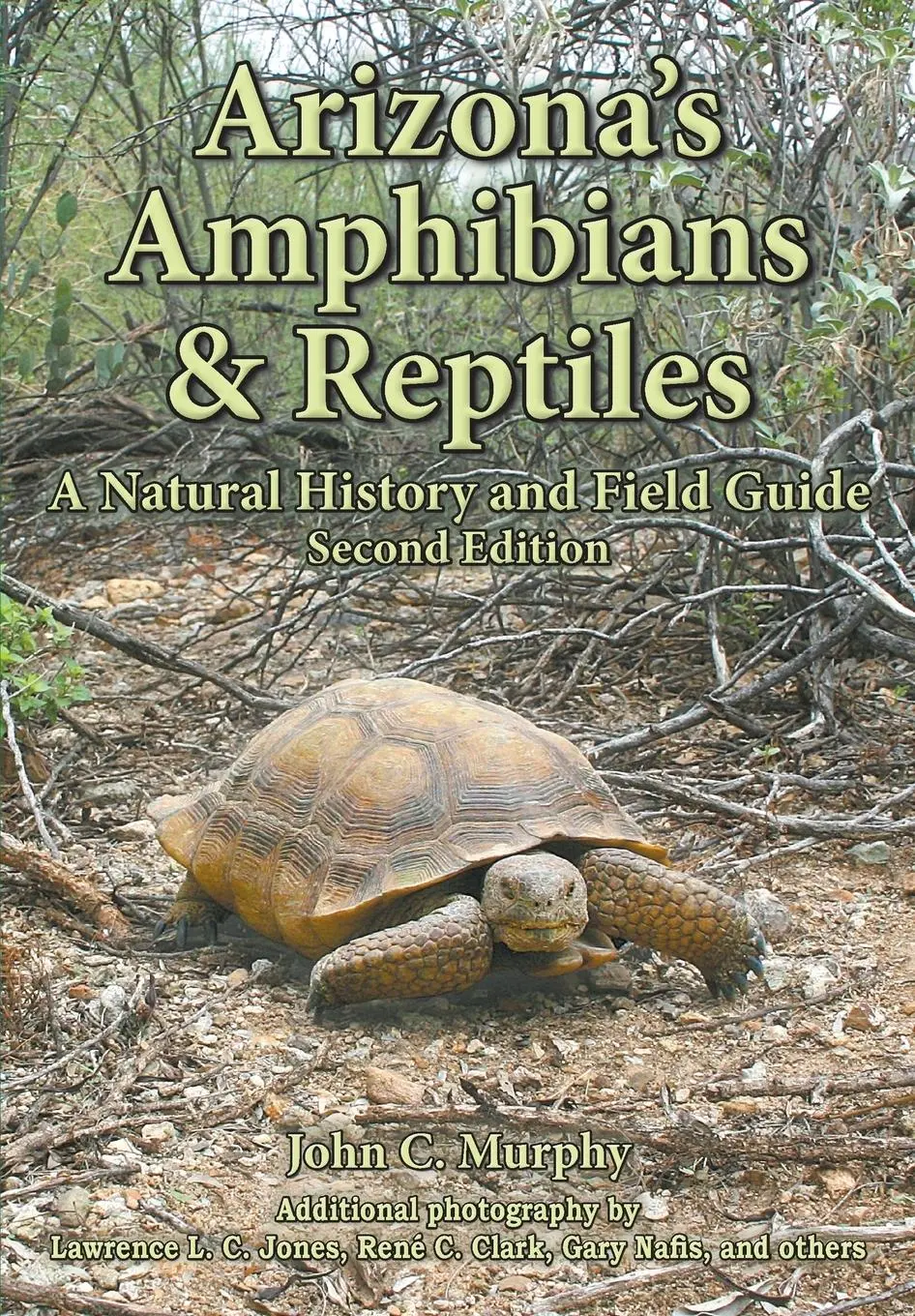 Cover: 9781645165552 | Arizona's Amphibians &amp; Reptiles | A Natural History and Field Guide