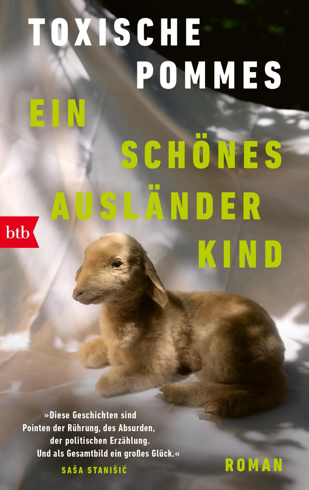 Cover: 9783442775552 | Ein schönes Ausländerkind | Toxische Pommes | Taschenbuch | 208 S.