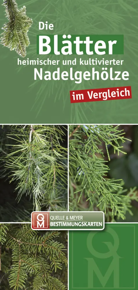 Cover: 9783494015552 | Die Blätter heimischer und kultivierter Nadelgehölze im Vergleich