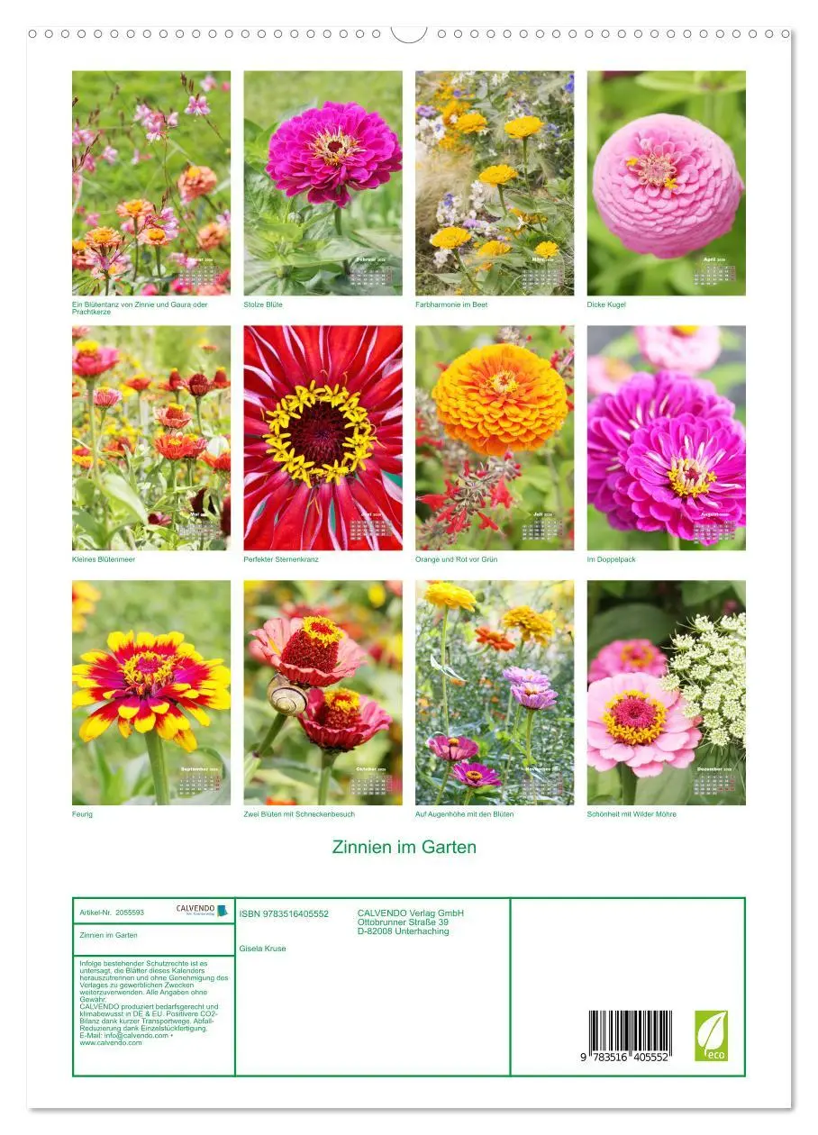 Bild: 9783516405552 | Zinnien im Garten (hochwertiger Premium Wandkalender 2026 DIN A2...