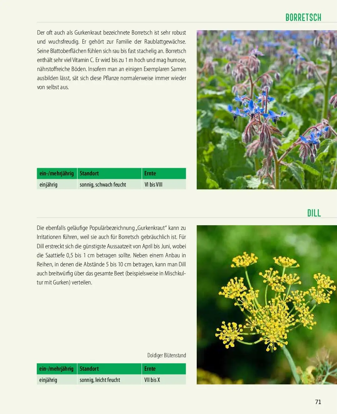 Bild: 9783966645652 | Einfache und schnelle Selbstversorgung | Axel Gutjahr | Taschenbuch