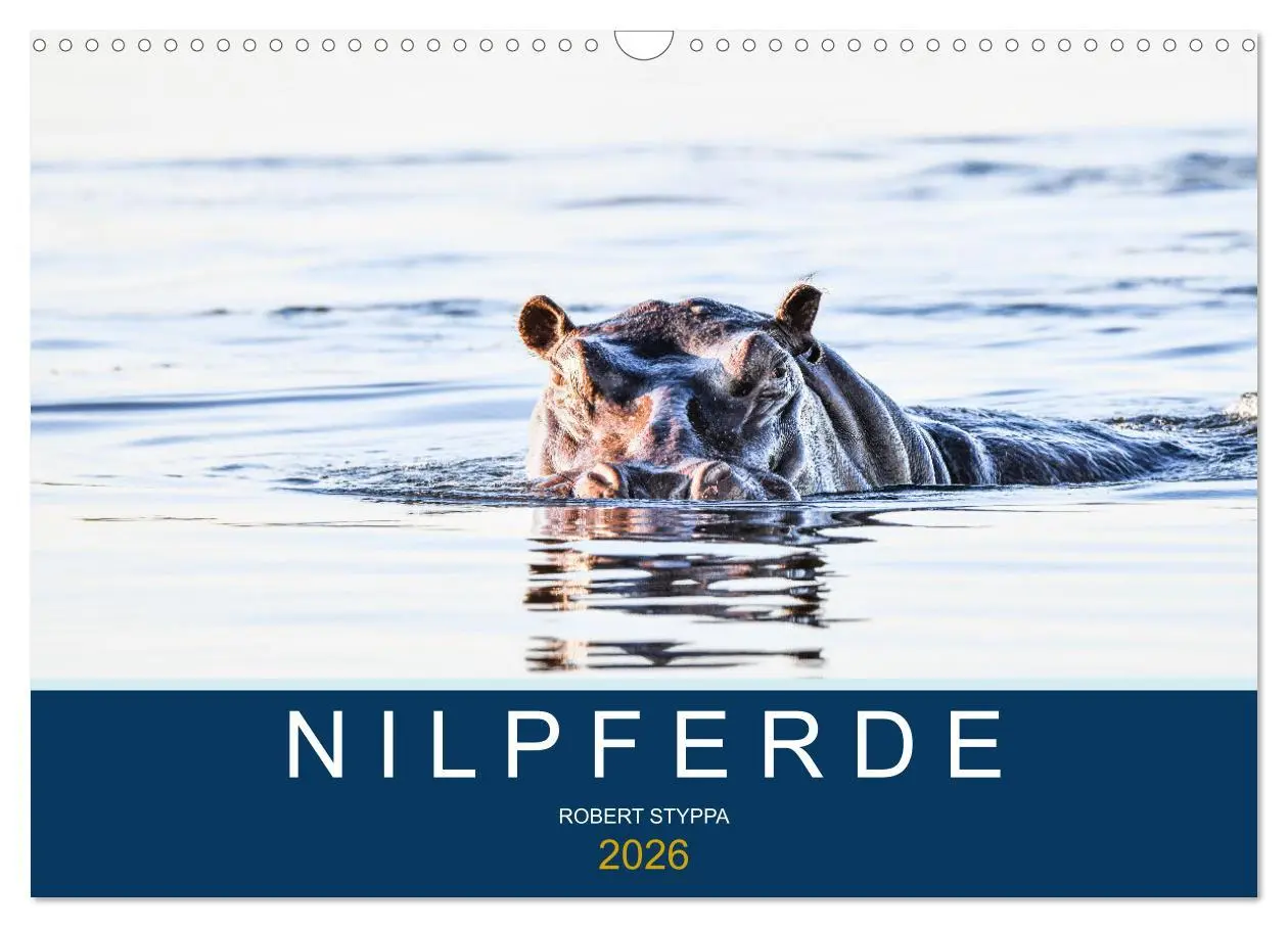 Cover: 9783457605752 | Nilpferde, Kolosse in Afrika (Wandkalender 2026 DIN A3 quer),...