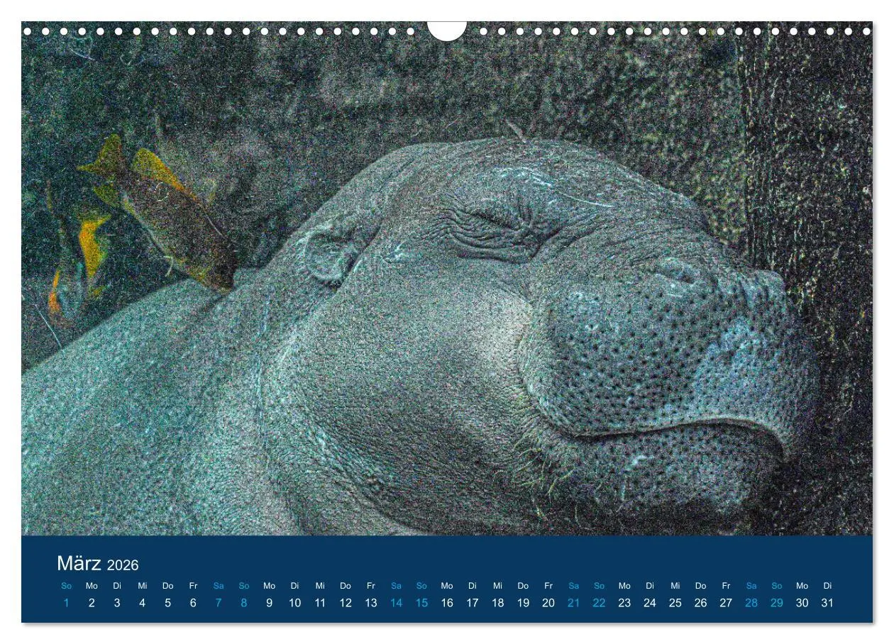 Bild: 9783457605752 | Nilpferde, Kolosse in Afrika (Wandkalender 2026 DIN A3 quer),...