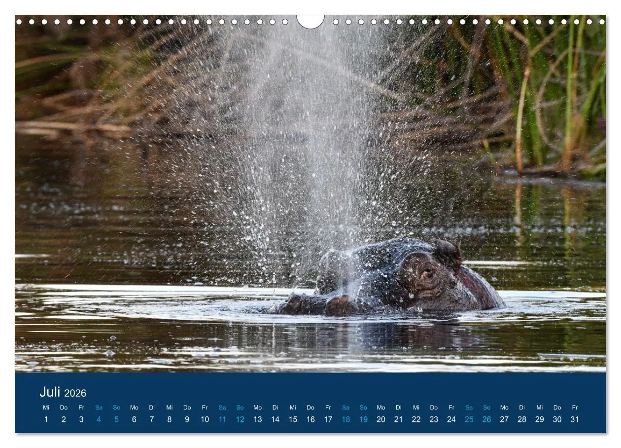 Bild: 9783457605752 | Nilpferde, Kolosse in Afrika (Wandkalender 2026 DIN A3 quer),...