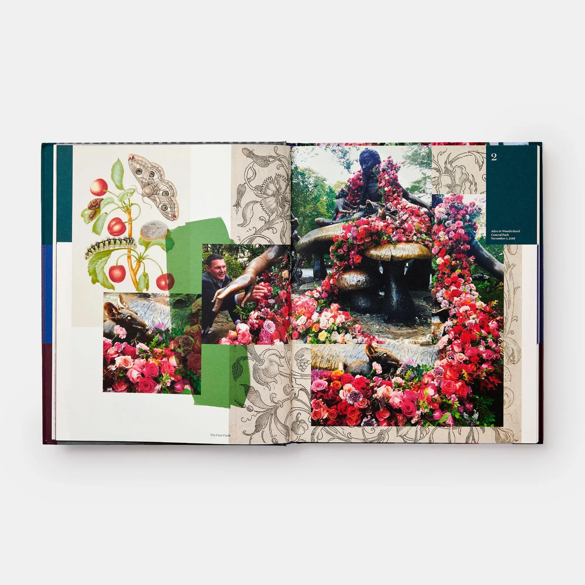 Bild: 9781580935852 | Flower Flash | Lewis Miller | Buch | Einband - fest (Hardcover) | 2022