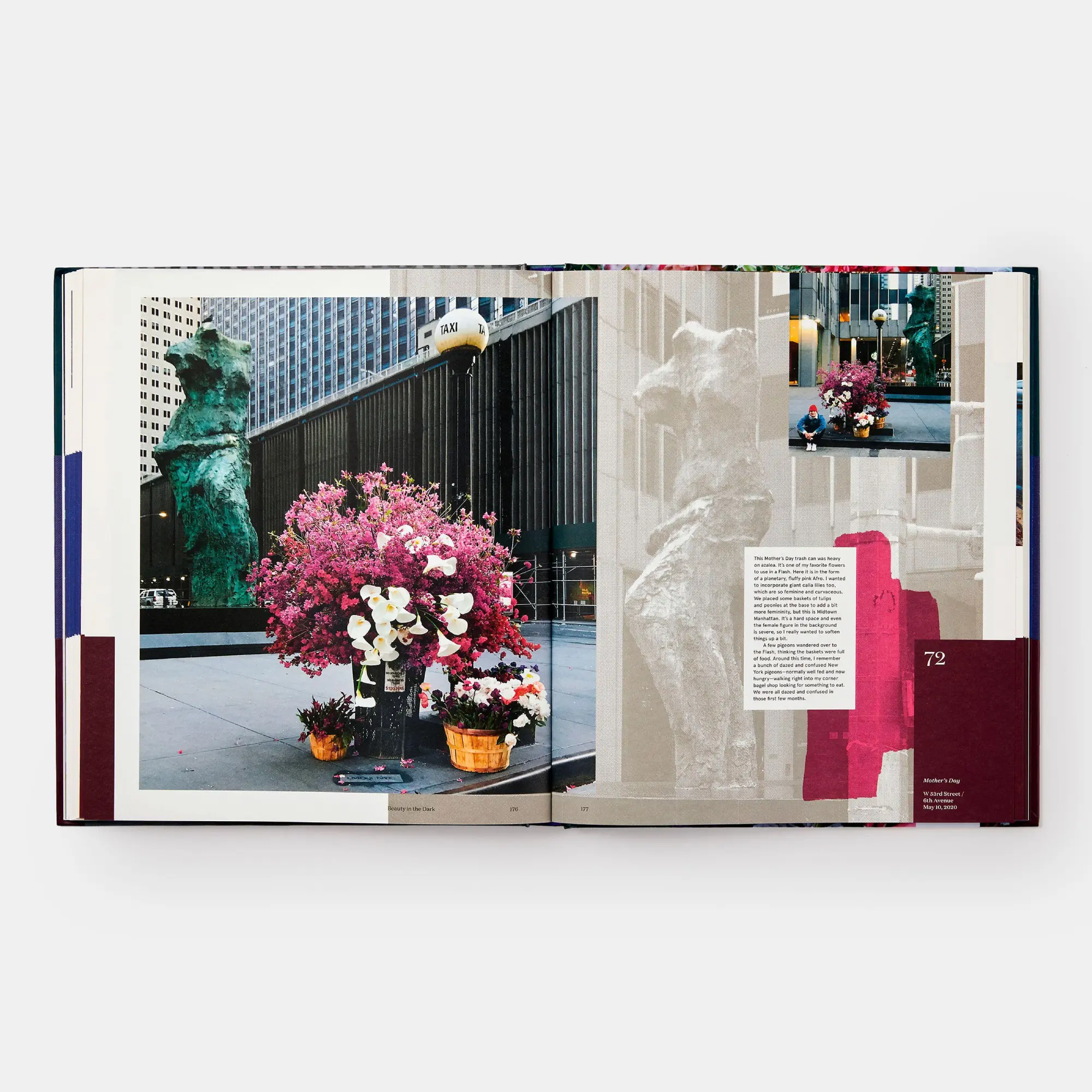 Bild: 9781580935852 | Flower Flash | Lewis Miller | Buch | Einband - fest (Hardcover) | 2022