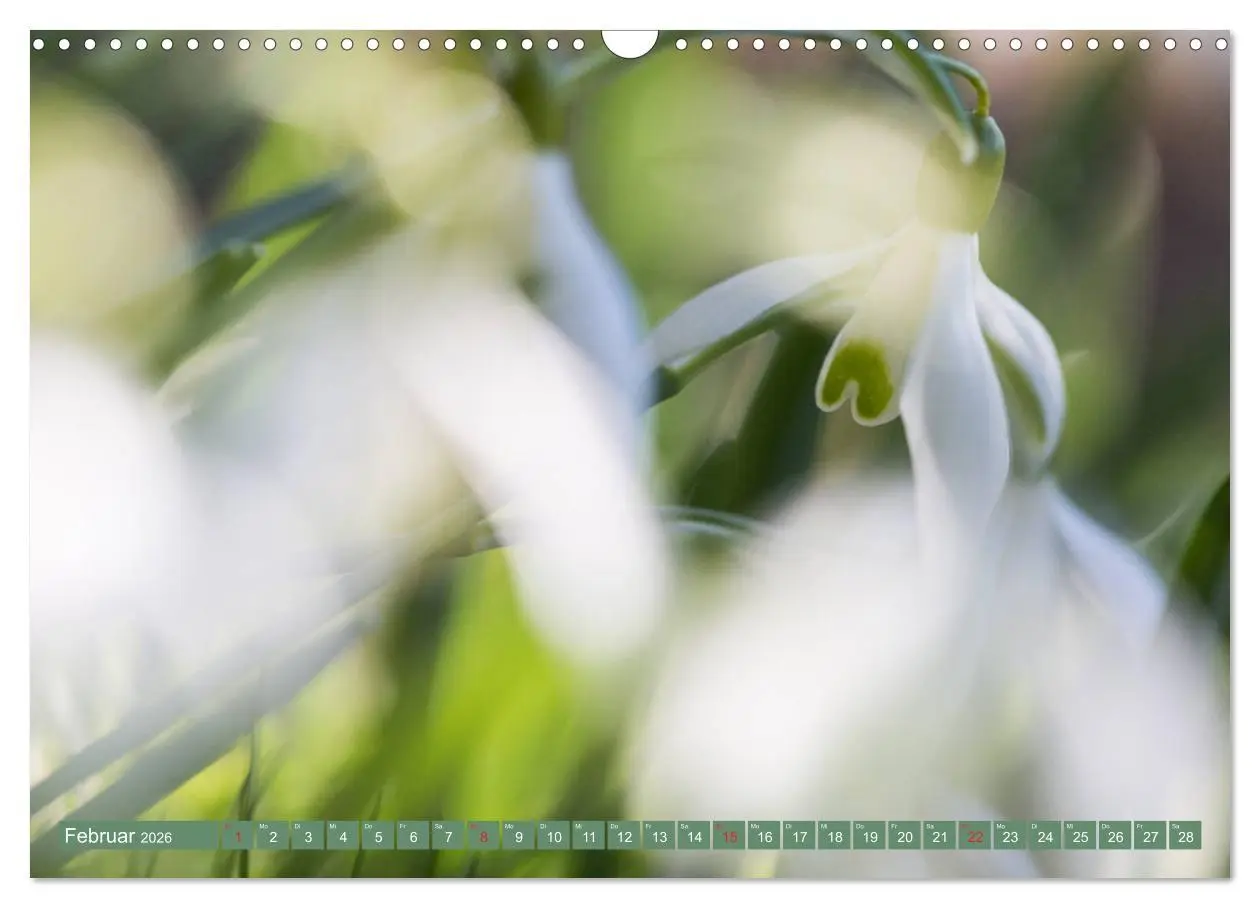 Bild: 9783457905852 | Die Natur hautnah (Wandkalender 2026 DIN A3 quer), CALVENDO...