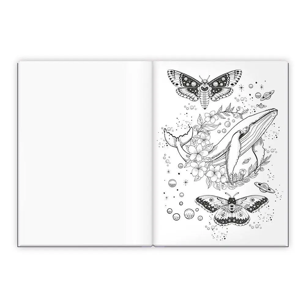 Bild: 9783988025852 | TRÖTSCH - Malbuch Entspanntes Malen Traumwelten | KG | Taschenbuch