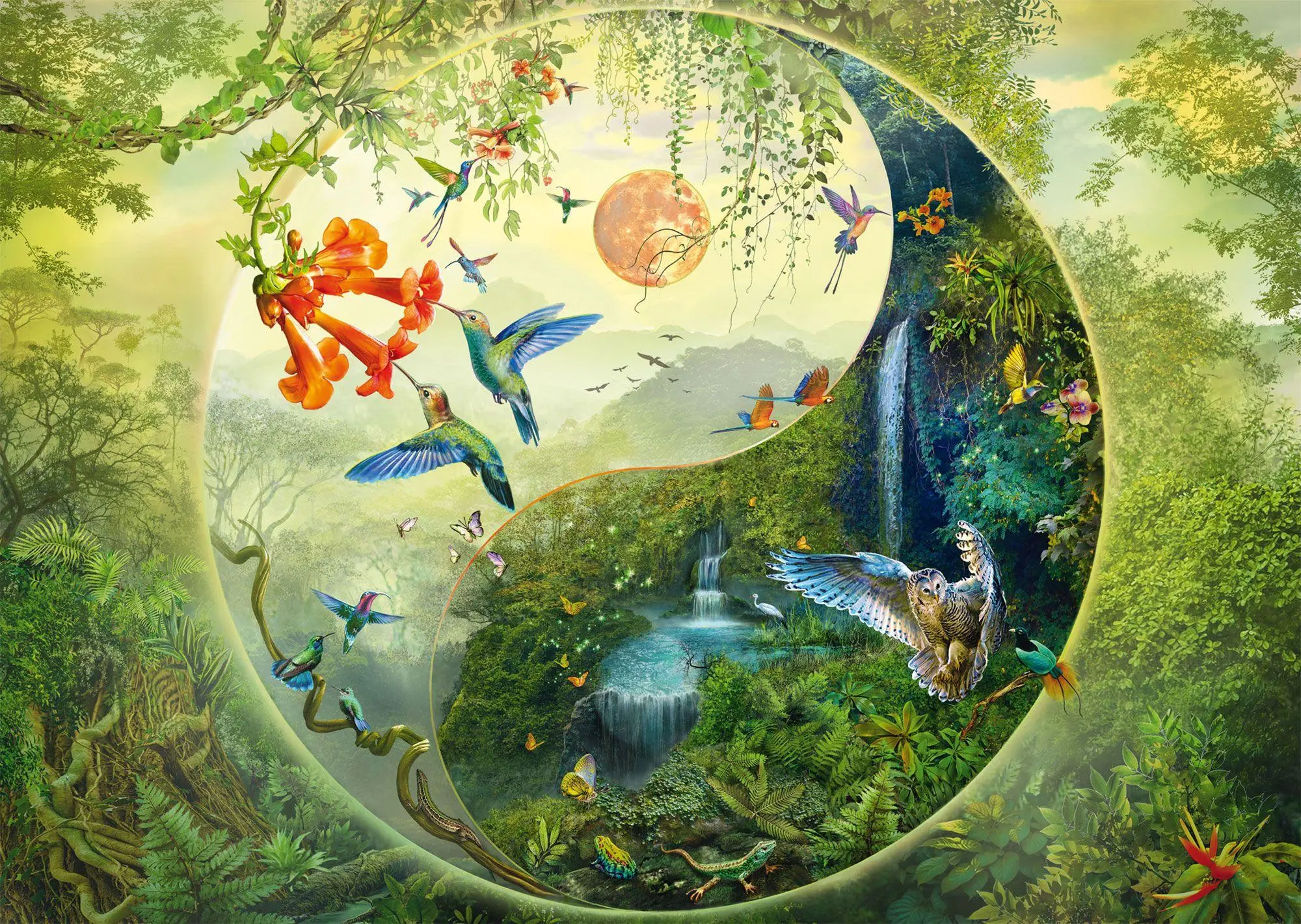Bild: 4001504585952 | Yin &amp; Yang, Im Wald der Kolibris | Puzzle Silvia Christoph 1000 Teile