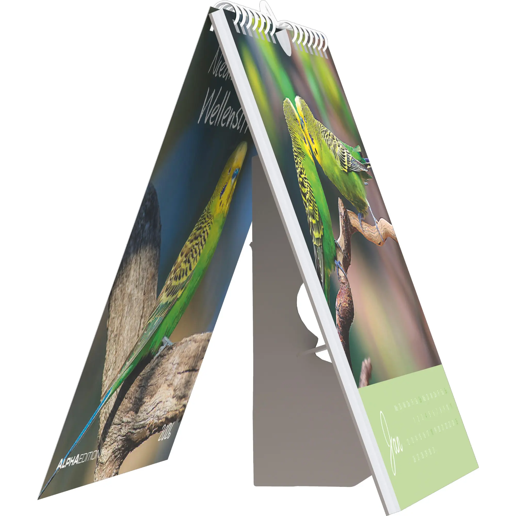 Bild: 4069095005952 | Niedliche Wellensittiche 2026 - Postkartenkalender 16x17 cm -...