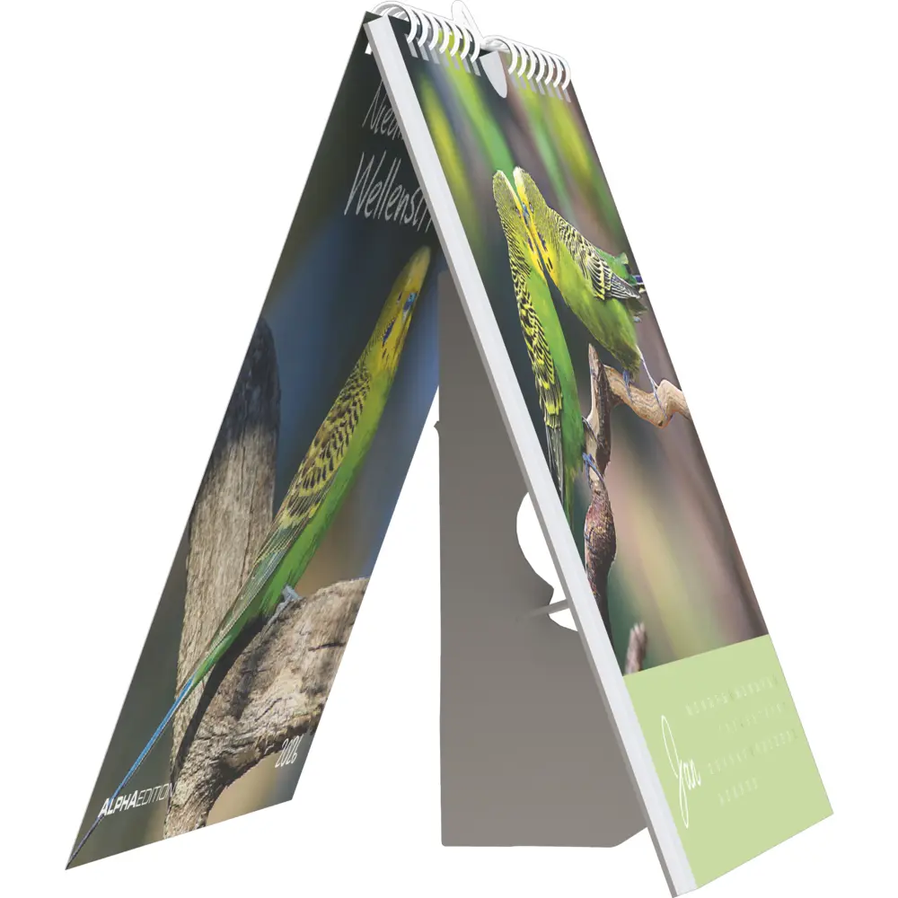 Bild: 4069095005952 | Alpha Edition - Niedliche Wellensittiche Kalender 2026 -...
