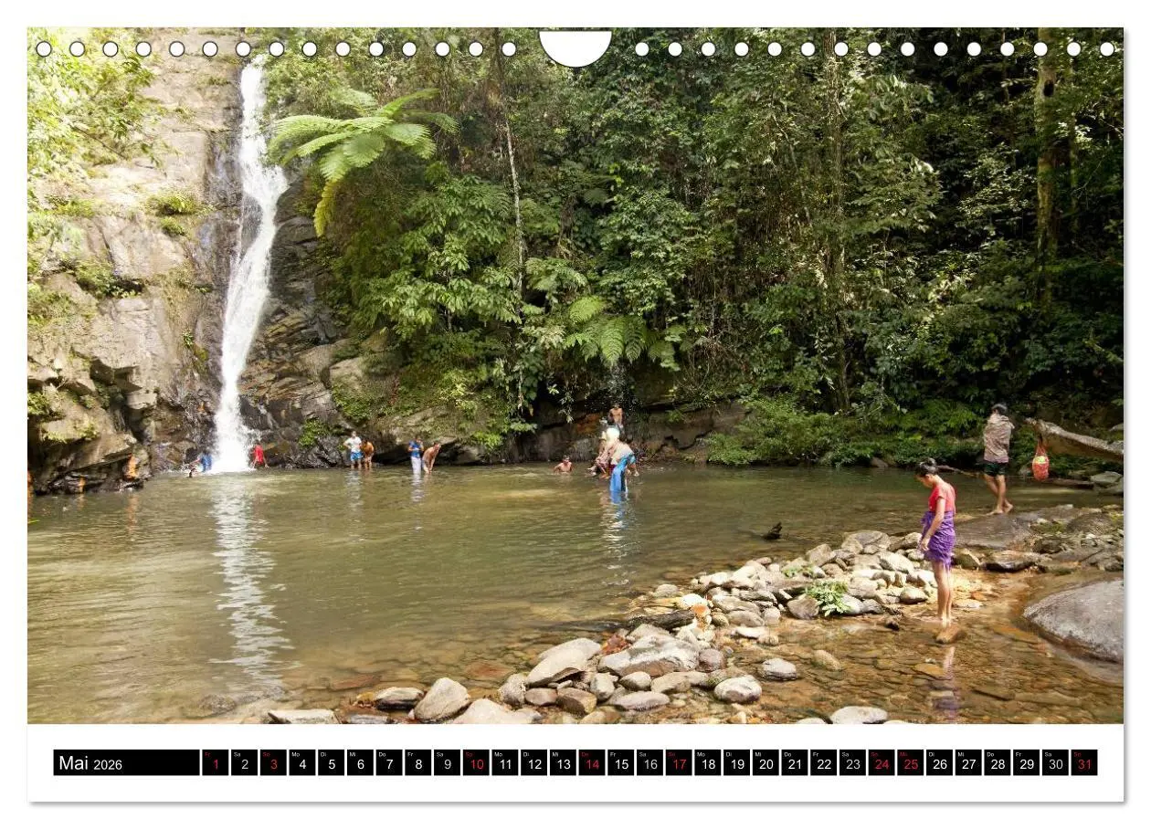 Bild: 9783516225952 | Palawan (Wandkalender 2026 DIN A4 quer), CALVENDO Monatskalender