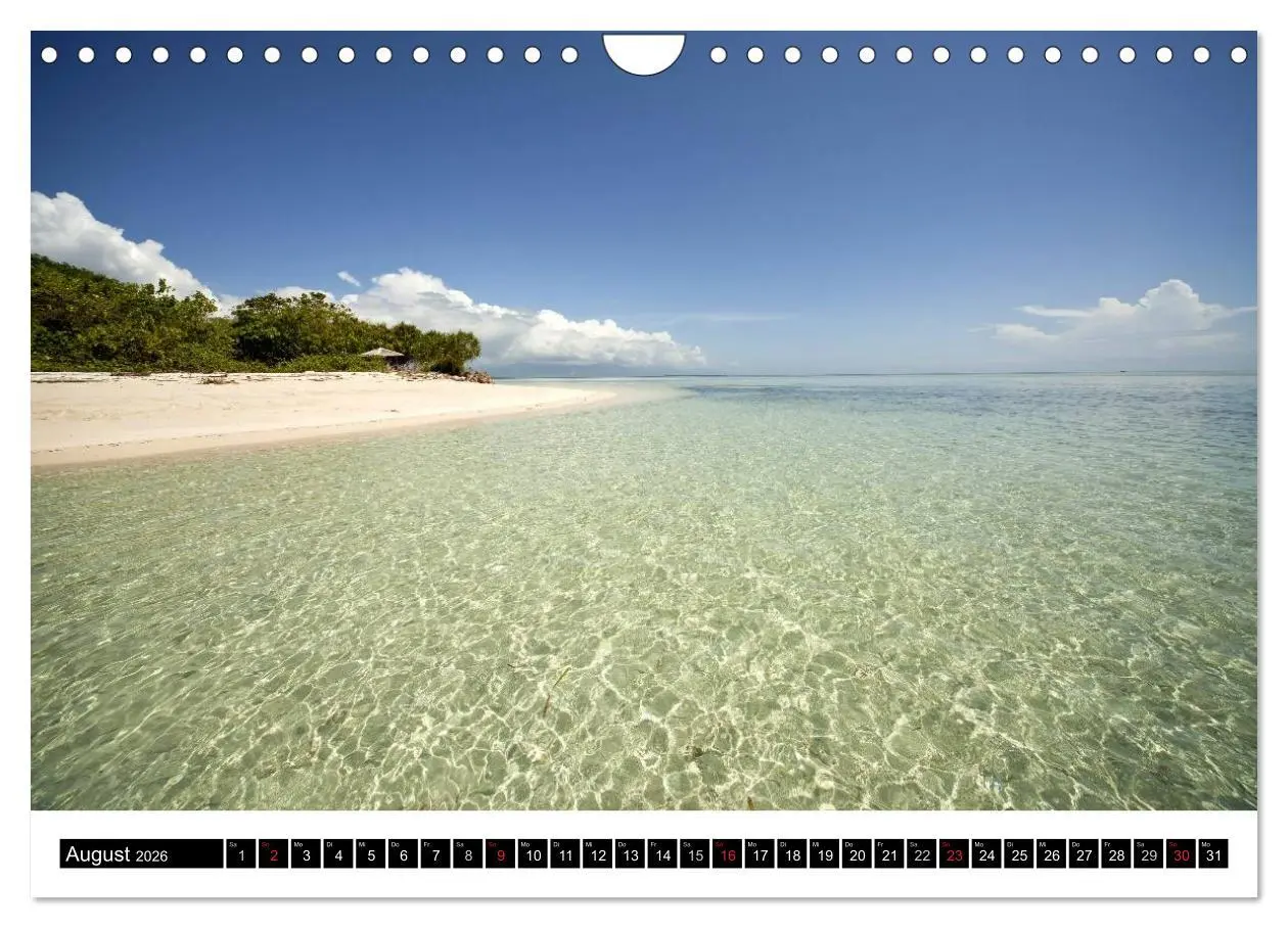 Bild: 9783516225952 | Palawan (Wandkalender 2026 DIN A4 quer), CALVENDO Monatskalender