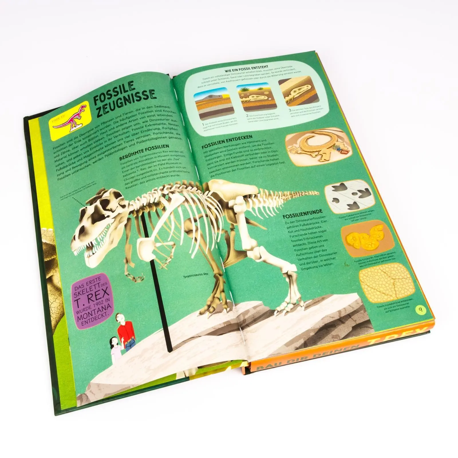 Bild: 9783551255952 | Bau dir deinen T. Rex | Inga Hübner | Buch | 32 S. | Deutsch | 2025