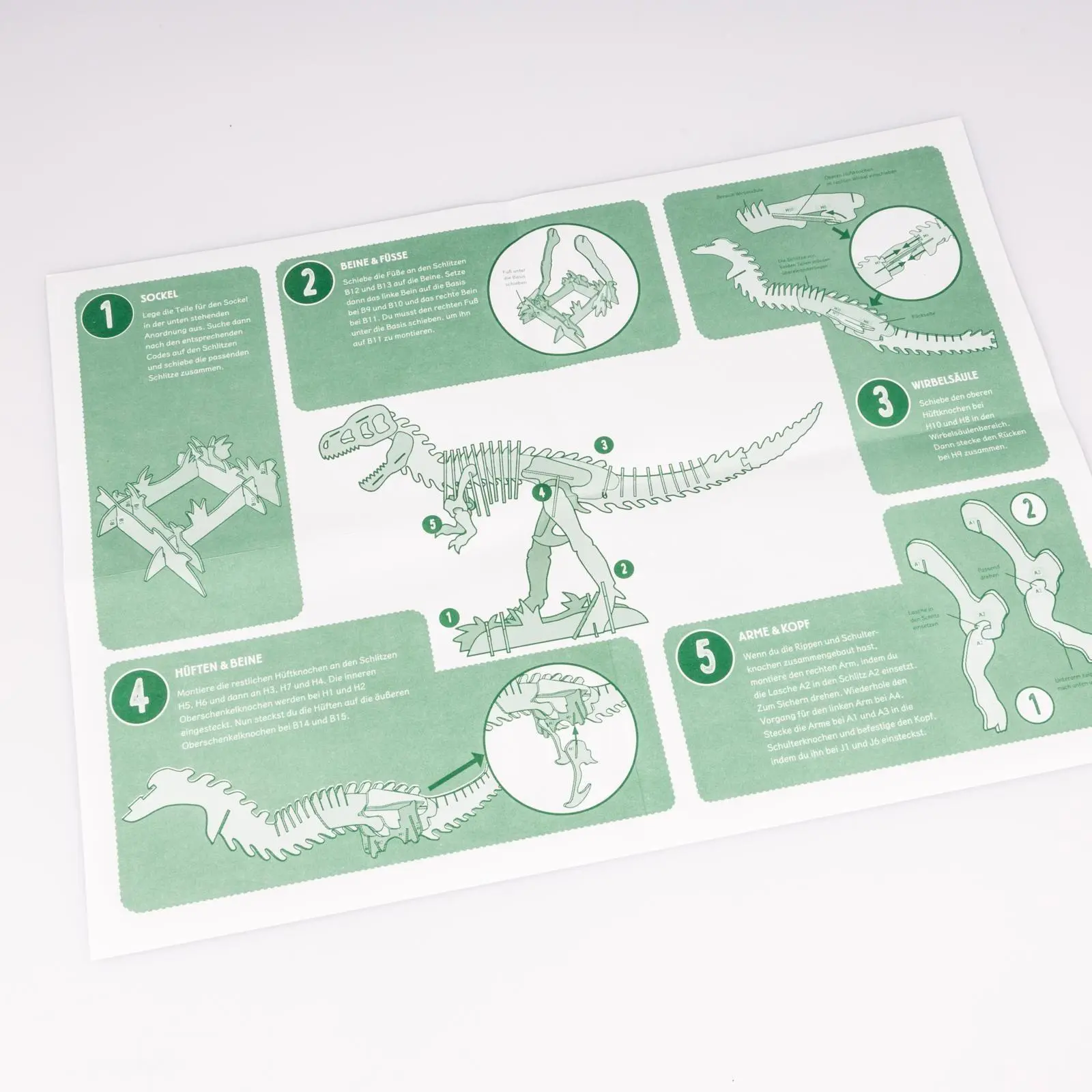 Bild: 9783551255952 | Bau dir deinen T. Rex | Inga Hübner | Buch | 32 S. | Deutsch | 2025