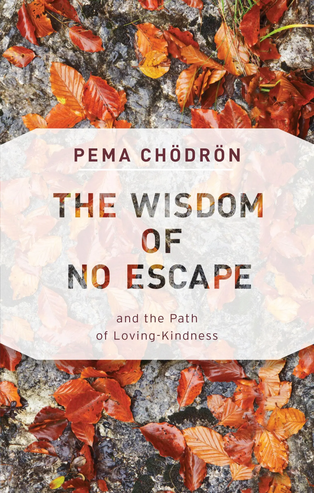 Cover: 9781611806052 | The Wisdom of No Escape | And the Path of Loving-Kindness | Chodron