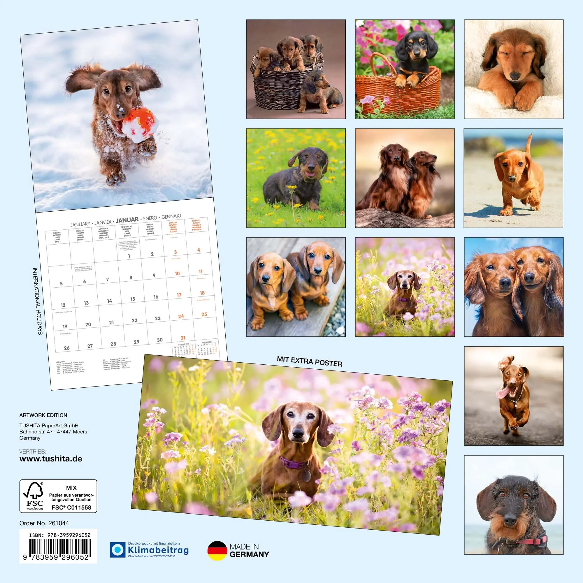 Rückseite: 9783959296052 | Dackel 2026 | Kalender 2026 | Kalender | 28 S. | Englisch | 2026