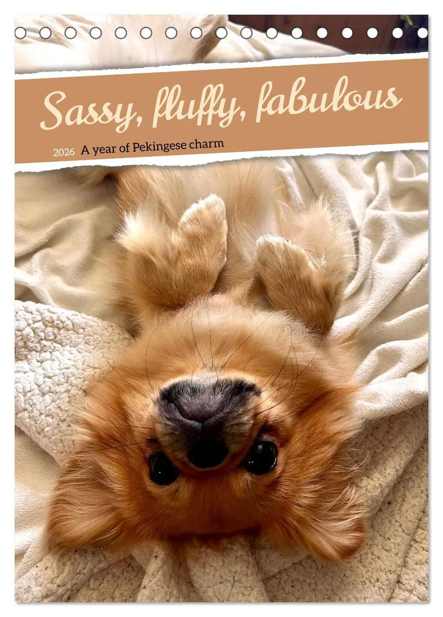 Cover: 9783457256152 | Sassy, fluffy, fabulous - A year of Pekingese charm (Desk Calendar...