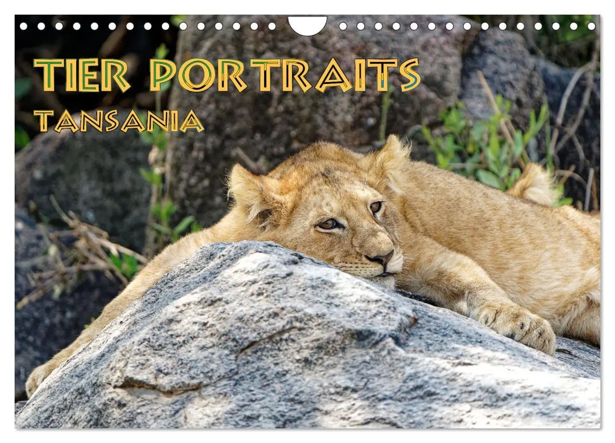Cover: 9783457316252 | Tier Portraits Tansania (Wandkalender 2026 DIN A4 quer), CALVENDO...