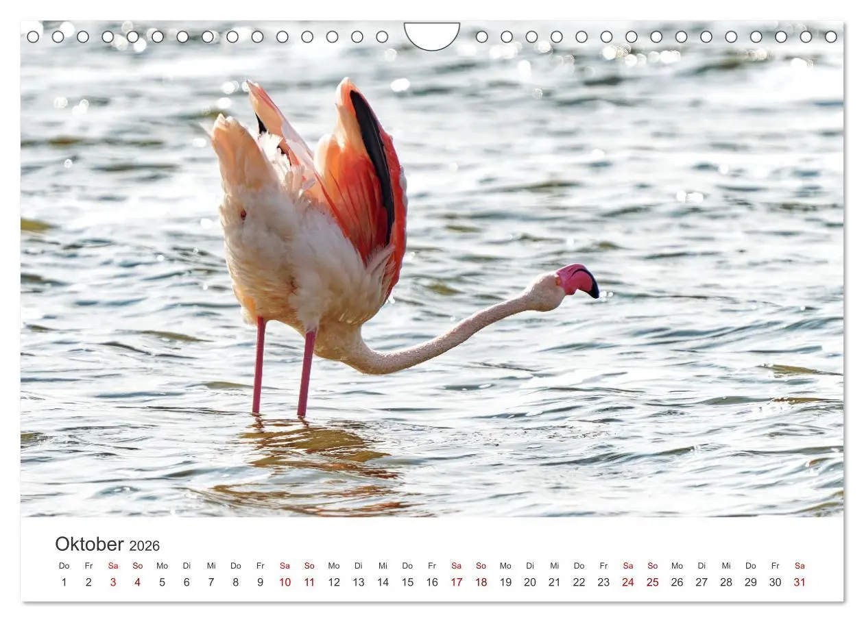 Bild: 9783457316252 | Tier Portraits Tansania (Wandkalender 2026 DIN A4 quer), CALVENDO...