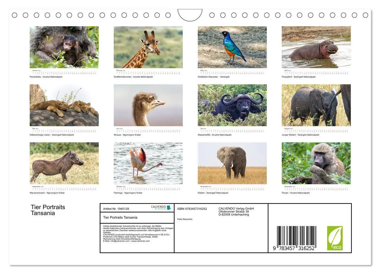 Bild: 9783457316252 | Tier Portraits Tansania (Wandkalender 2026 DIN A4 quer), CALVENDO...