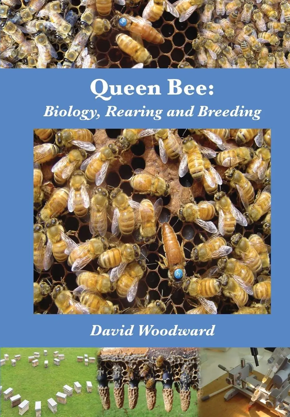 Cover: 9781904846352 | Queen Bee | Biology, Rearing and Breeding | David R Woodward | Buch