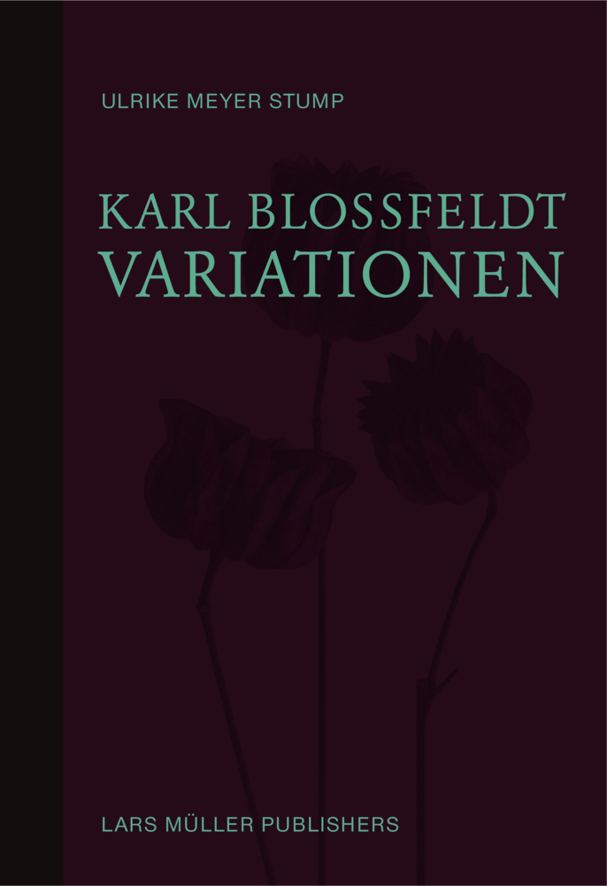Cover: 9783037786352 | Karl Blossfeldt: Variationen | Ulrike Meyer Stump | Buch | 516 S.