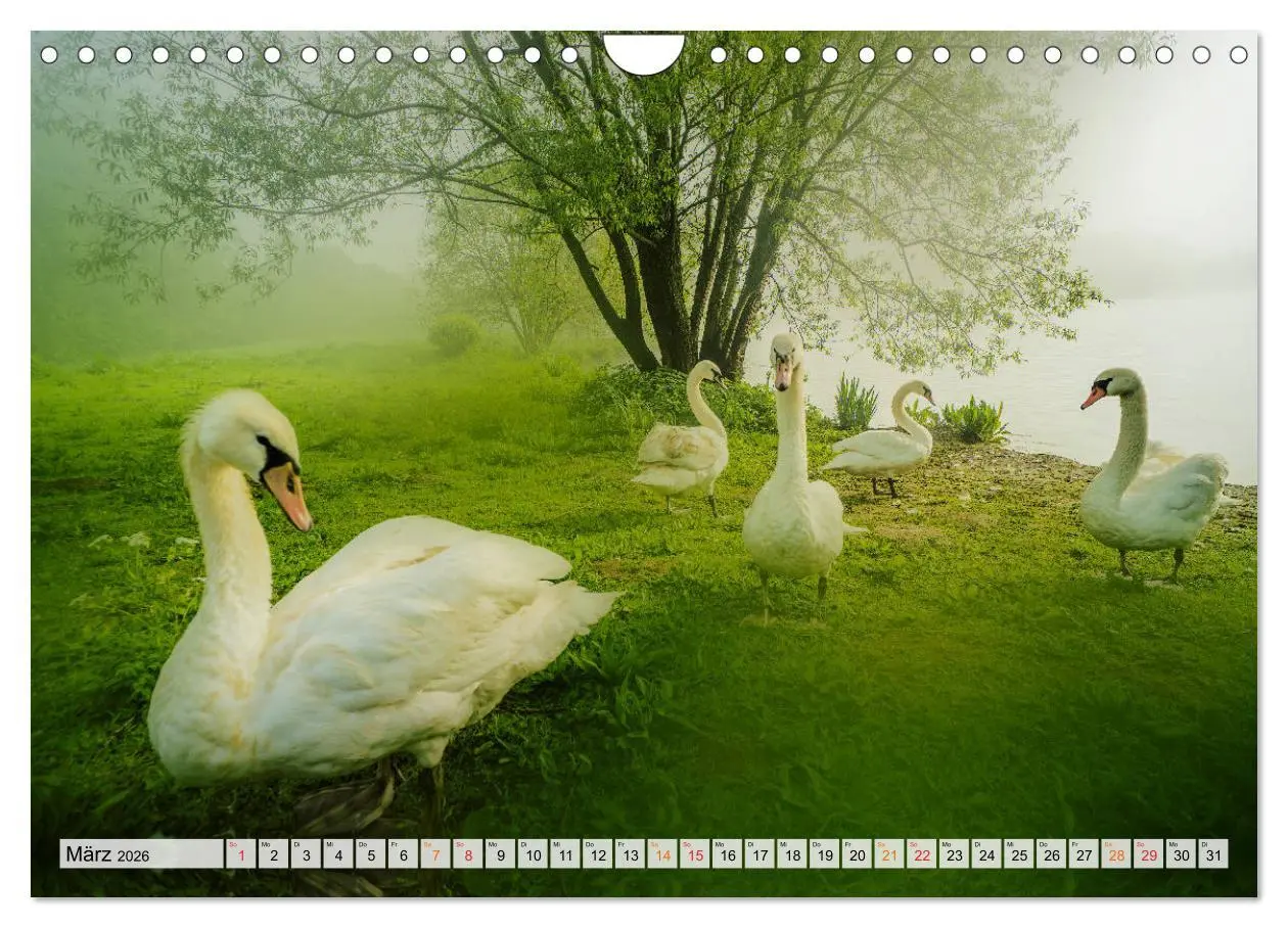 Bild: 9783457786352 | Bielefeld - Der Obersee - unendliche Motive... (Wandkalender 2026...