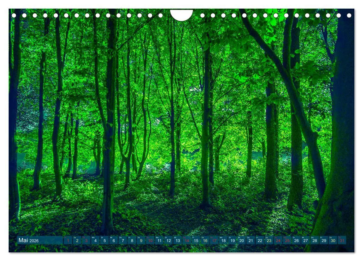Bild: 9783457786352 | Bielefeld - Der Obersee - unendliche Motive... (Wandkalender 2026...