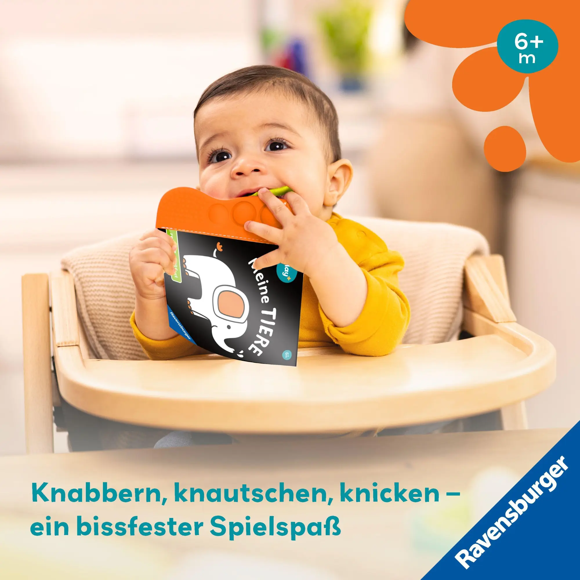 Bild: 9783473456352 | Play+ flip&amp;pop Meine Tiere - ab 6 Monate | Mein allererstes Beißbuch