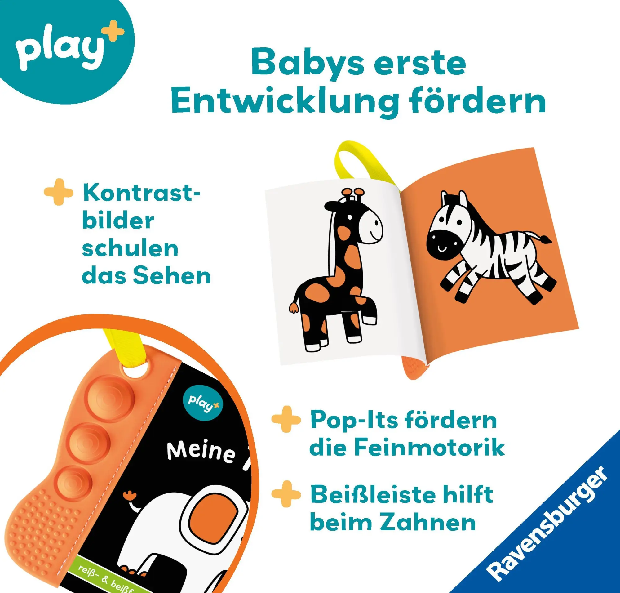 Bild: 9783473456352 | Play+ flip&amp;pop Meine Tiere - ab 6 Monate | Mein allererstes Beißbuch