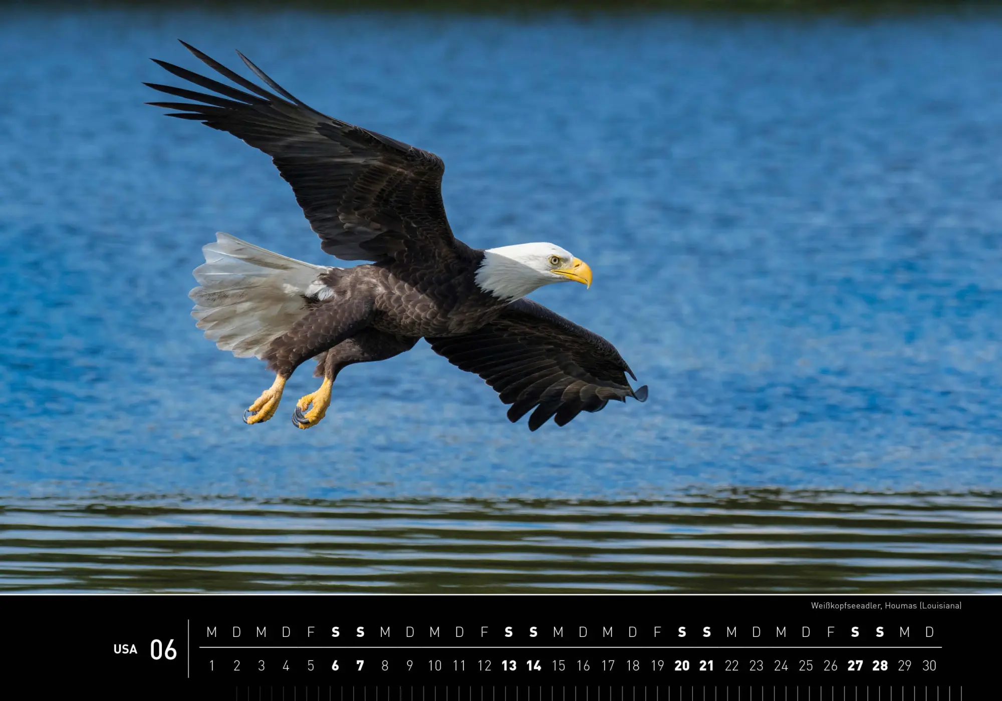 Bild: 9783968556352 | USA Premiumkalender 2026 | Christian Heeb | Kalender | Spiralbindung