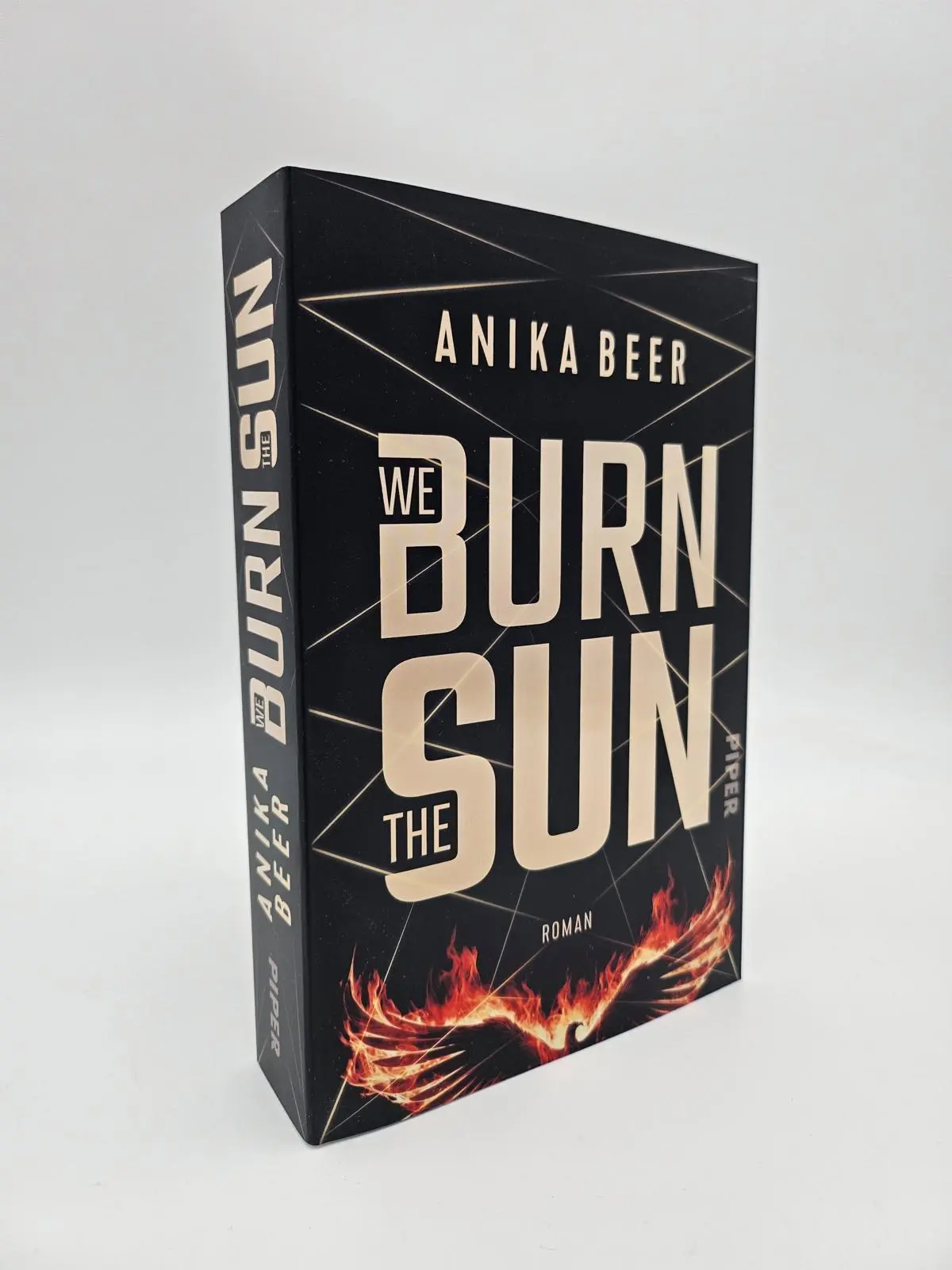 Bild: 9783492706452 | We Burn the Sun | Anika Beer | Taschenbuch | 480 S. | Deutsch | 2025