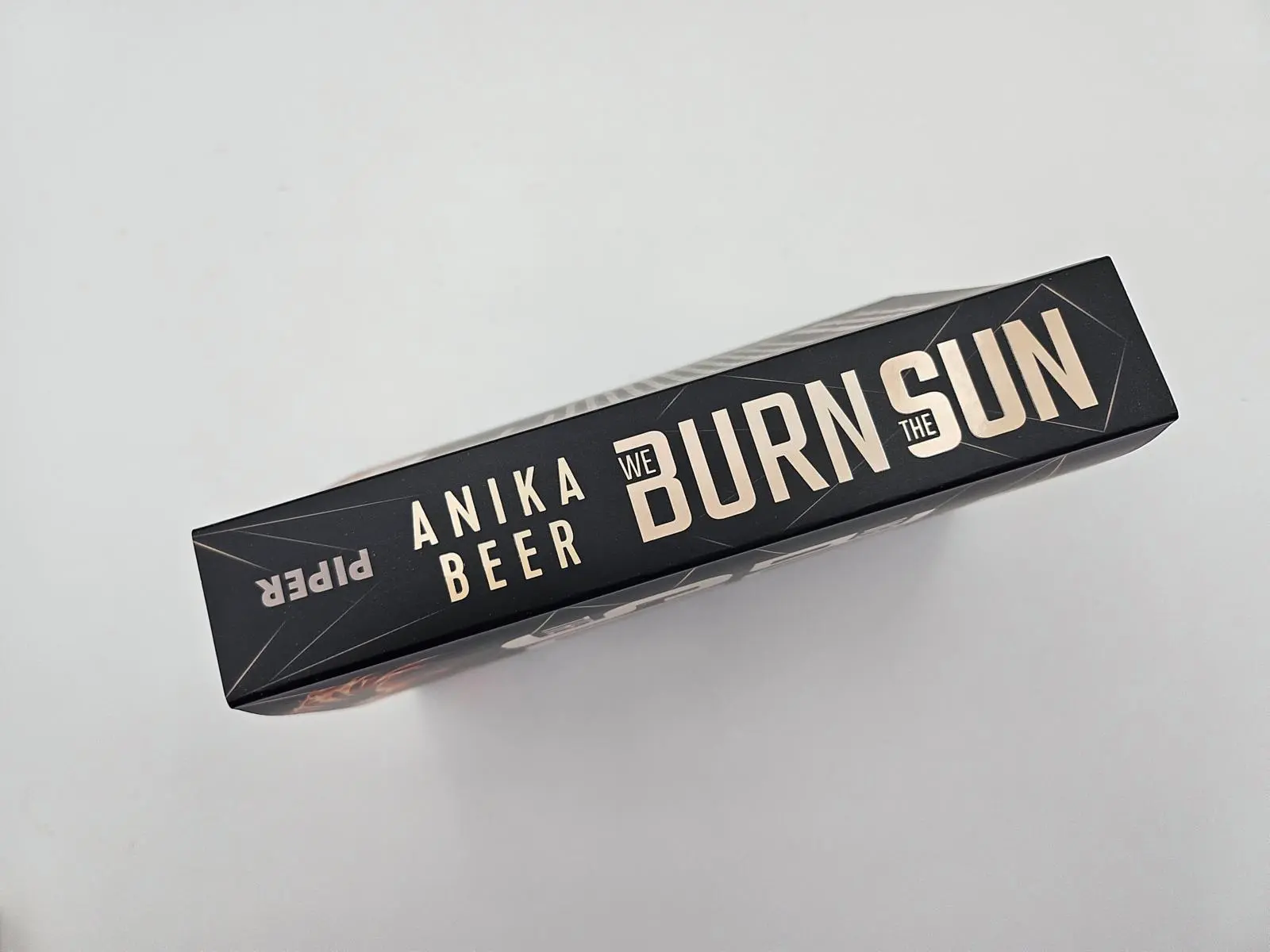 Bild: 9783492706452 | We Burn the Sun | Anika Beer | Taschenbuch | 480 S. | Deutsch | 2025