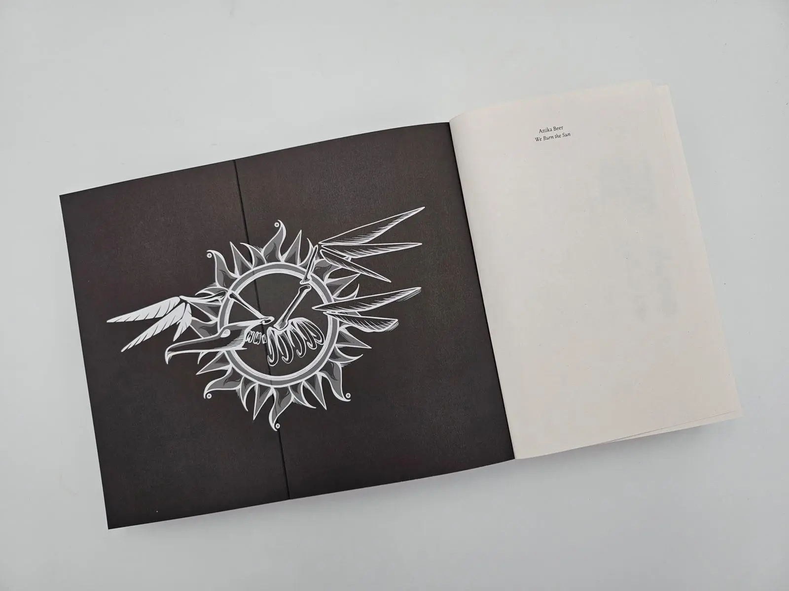 Bild: 9783492706452 | We Burn the Sun | Anika Beer | Taschenbuch | 480 S. | Deutsch | 2025
