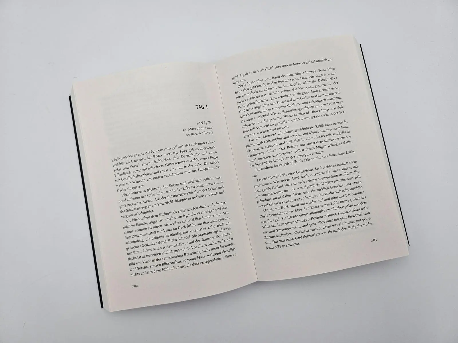 Bild: 9783492706452 | We Burn the Sun | Anika Beer | Taschenbuch | 480 S. | Deutsch | 2025