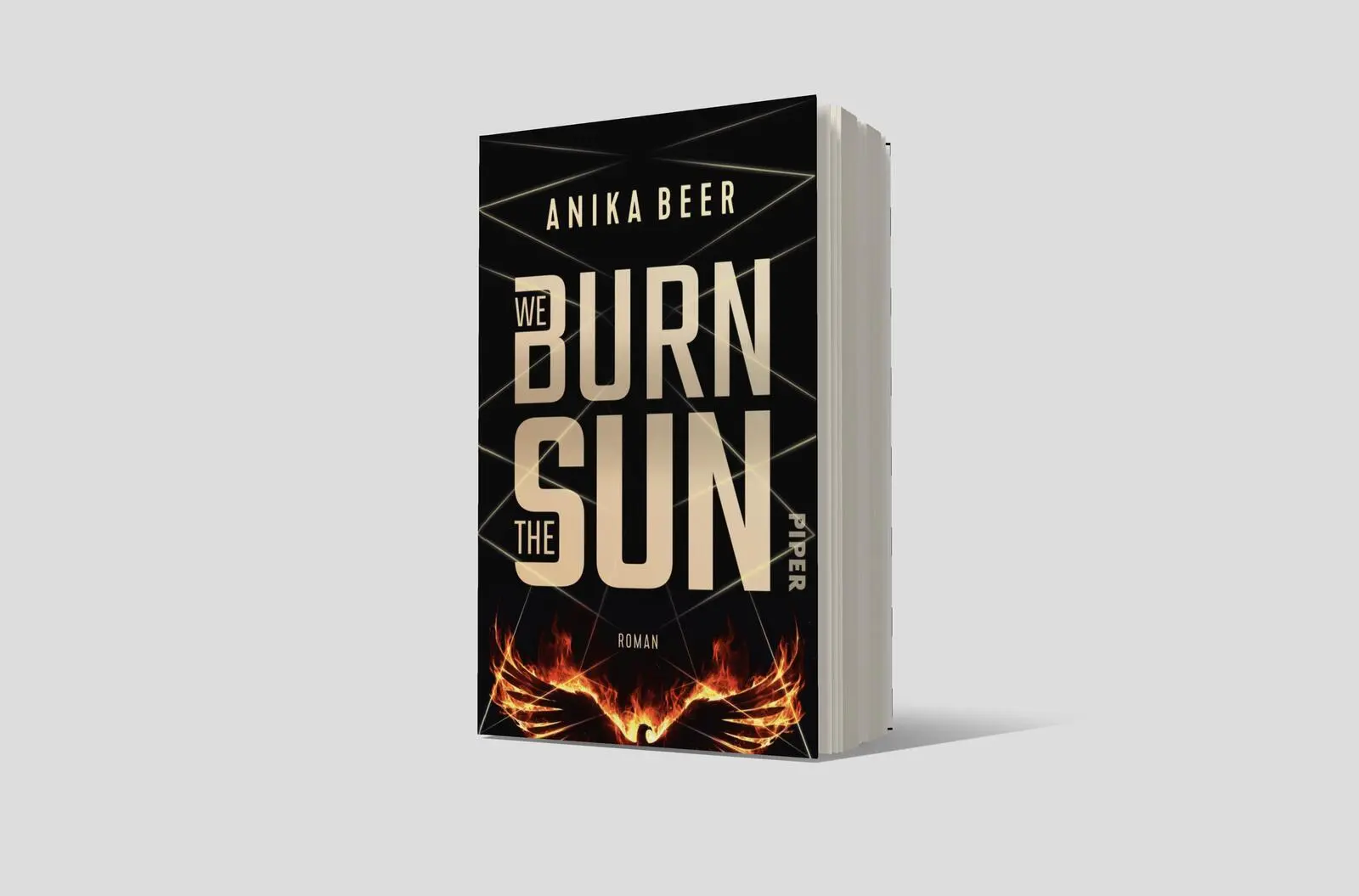 Bild: 9783492706452 | We Burn the Sun | Anika Beer | Taschenbuch | 480 S. | Deutsch | 2025